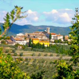 degustazioni guidate di vini nel Chianti e in toscana
