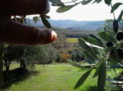 Trekking in Toscana – L’antica lega del Chianti