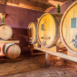 wine tasting tour in chianti classico winery