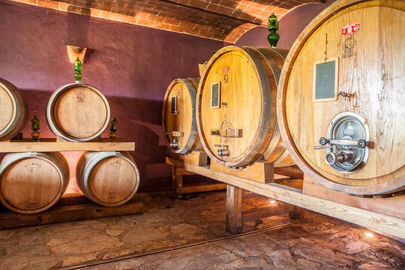 wine tasting tour in chianti classico winery