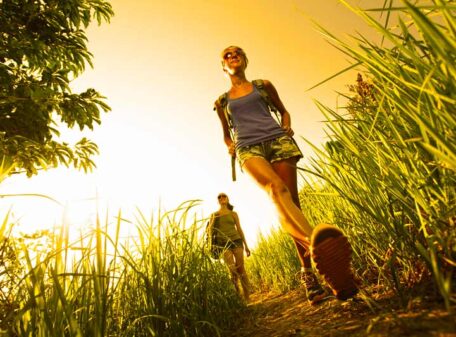 travel holiday hiking chianti and tuscany