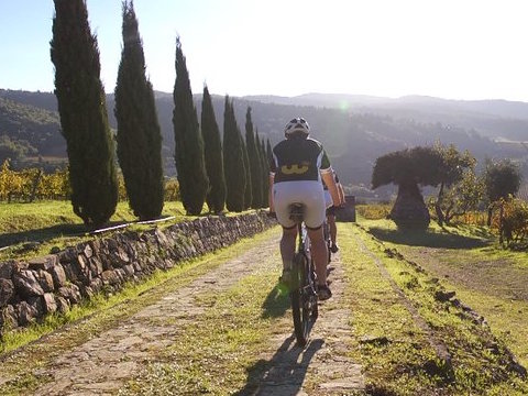 chianti bike tour