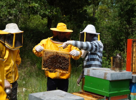 Taste Chianti Honey