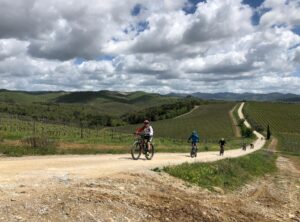 Chianti E-Bike Tour Poggio San Polo