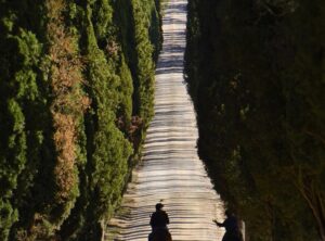 Passeggia a cavallo nel Chianti