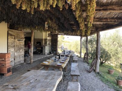 Pranzo contadino immersi tra i vigneti