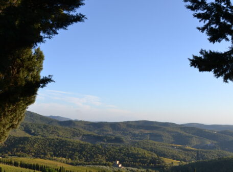 Vigneto Santa Caterina