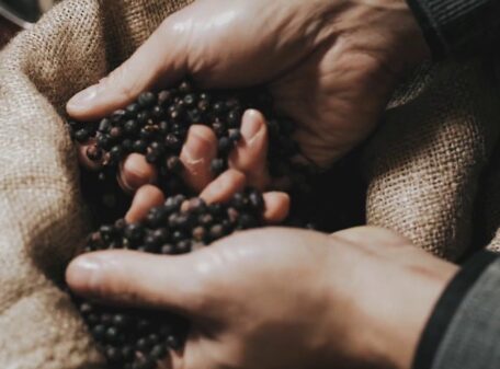 Winestillery2