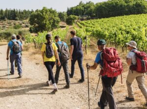 Trekking in Chianti