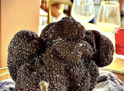TRUFFLE HUNTING AND TASTING