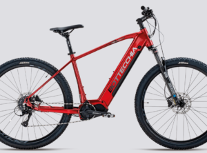 E-Bike