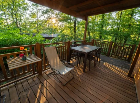 Cottage_Next_orlando_(7)